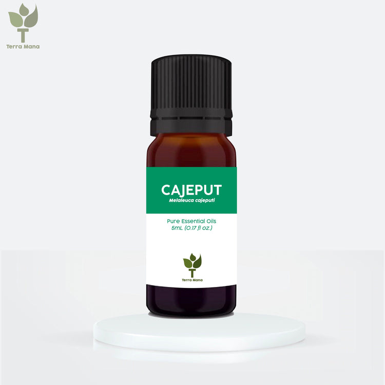 Cajeput Essential Oil