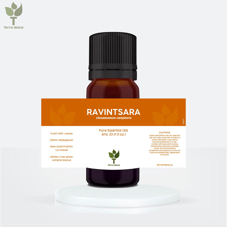 Ravintsara Essential Oil